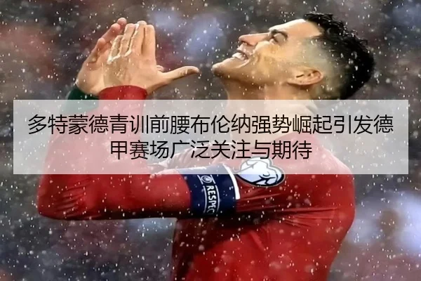 多特蒙德青训前腰布伦纳强势崛起引发德甲赛场广泛关注与期待 | kaiyun