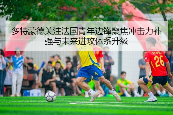 多特蒙德关注法国青年边锋聚焦冲击力补强与未来进攻体系升级 | kaiyun