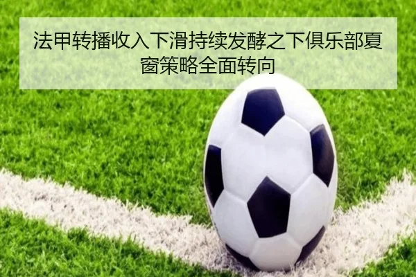 法甲转播收入下滑持续发酵之下俱乐部夏窗策略全面转向 | kaiyun