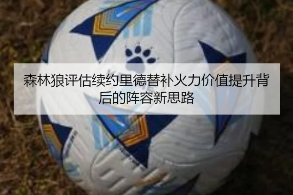 森林狼评估续约里德替补火力价值提升背后的阵容新思路 | kaiyun
